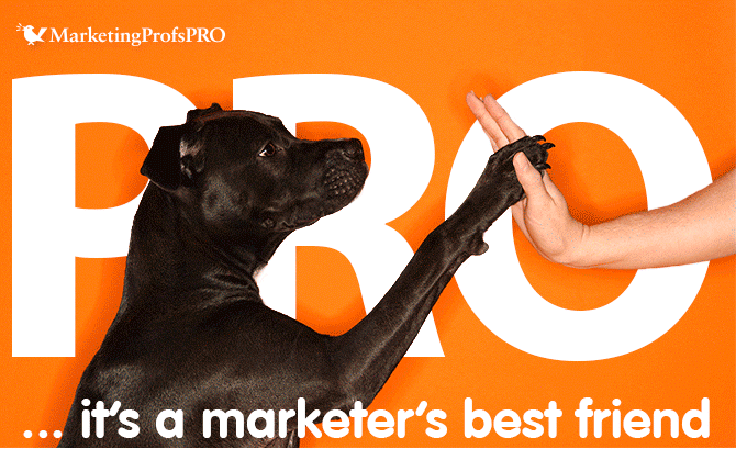 Marketing Profs upgrade emails