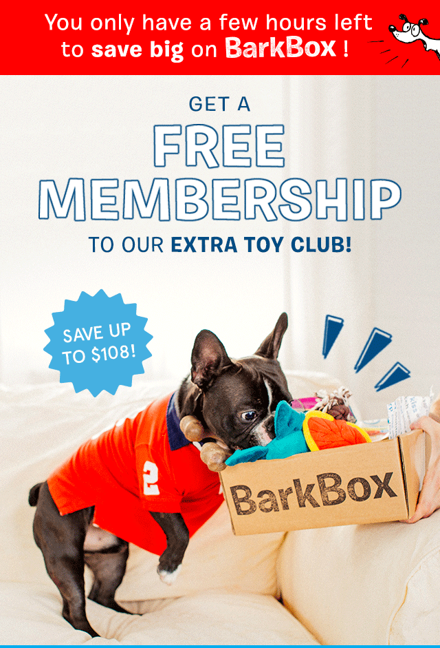 barkbox discount email design gif